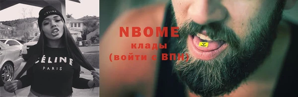 стаф Няндома