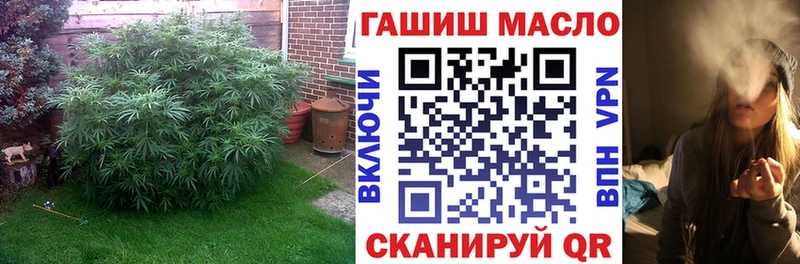 mega сайт Александровск-Сахалинский Дистиллят ТГК гашишное масло что такое наркотик